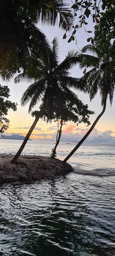 Harmony Self-Catering Apartments Beau Vallon  Zewnętrze zdjęcie