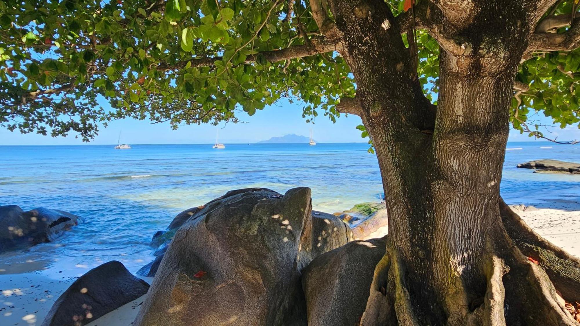 Harmony Self-Catering Apartments Beau Vallon  Zewnętrze zdjęcie
